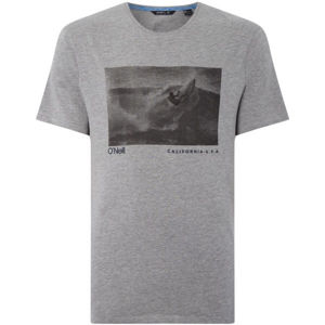 O'Neill LM PHOTOPRINT T-SHIRT Pánské triko, šedá, velikost S