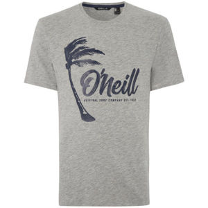 O'Neill LM PALM GRAPHIC T-SHIRT šedá M - Pánské tričko