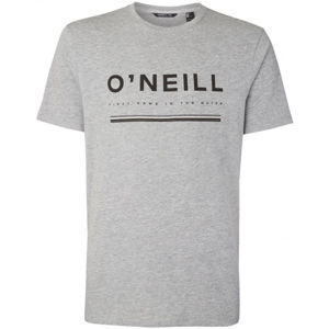 O'Neill LM ARROWHEAD T-SHIRT šedá XL - Pánské tričko