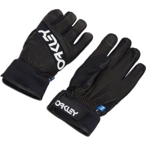 Oakley FACTORY WINTER GLOVES 2.0 Lyžařské rukavice, černá, veľkosť S